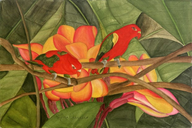 Bird watercolor show to open